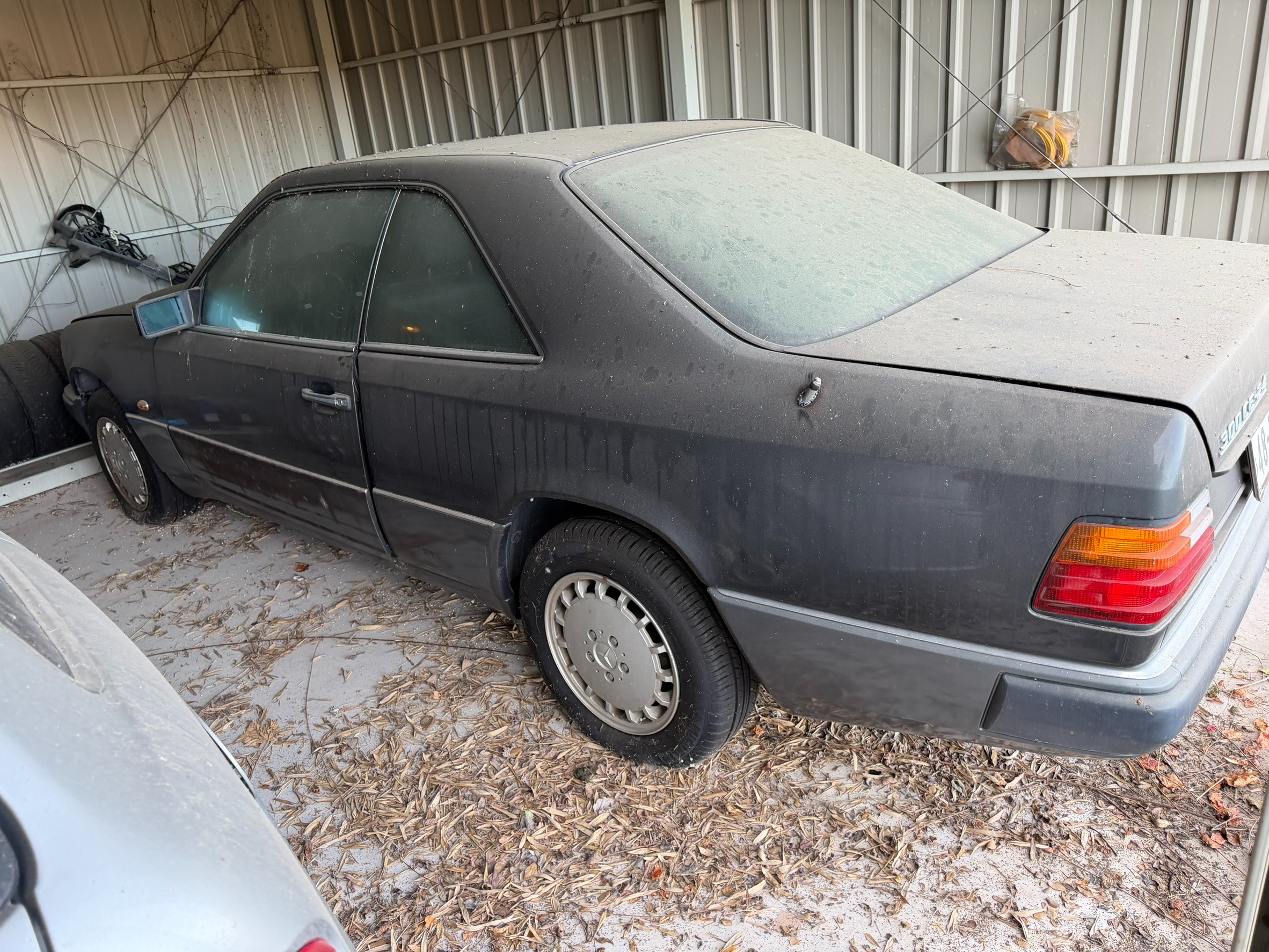 メルセデス・ベンツ W124 買取実績